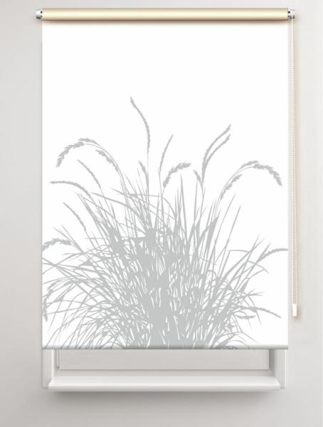 Rollo Reed24 lichtgrau, Rollo, Motivrollo, Rollo mit Druck, Fotorollo, bedrucktes Rollo, Fensterrollo,verdunkelndes Rollo, Sonnenschutz Rollo